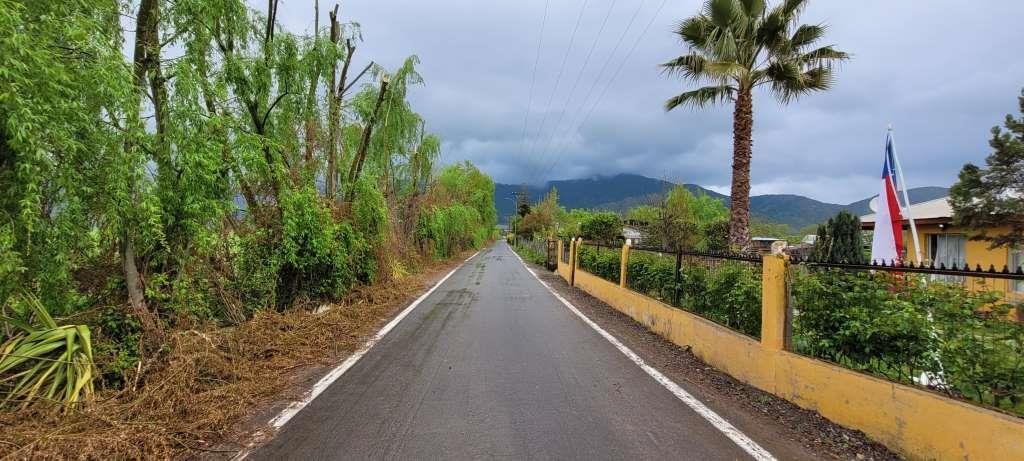 6. Foto camino I-794 El Maiten Chépica