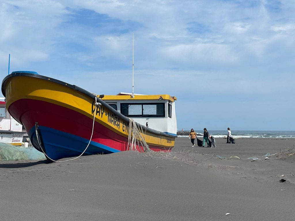 Caleta Pichilemu